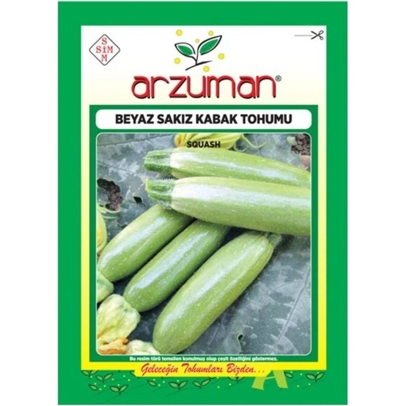 Arzuman Beyaz Sakız Kabak Tohumu ürün görseli 1