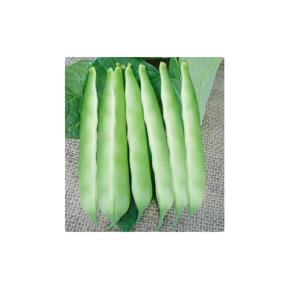 Arzuman Fasulye (Oturak) 50 Gram ürün görseli 1
