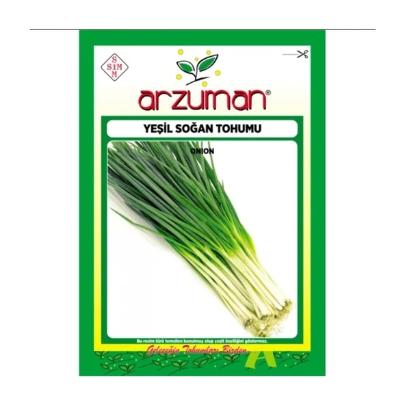 Arzuman 4 Adet Arzuman Sebze Yeşil Soğan Tohum 10 gr ürün görseli 1
