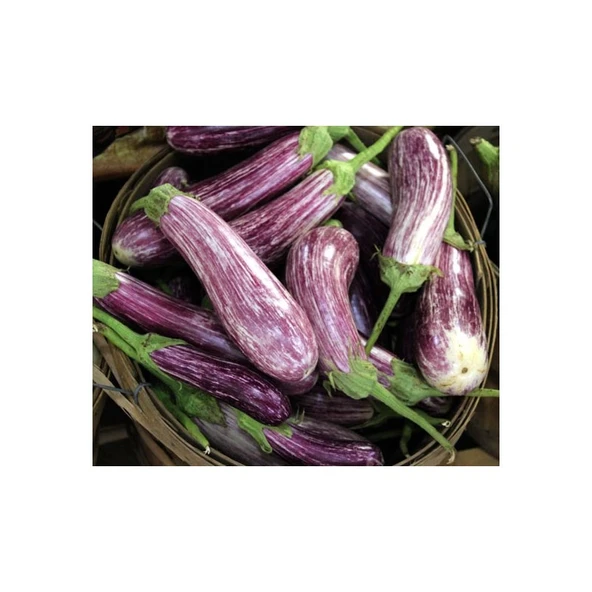 Arzuman Çizgili Alaca Patlıcan 5 Gram ürün görseli 1