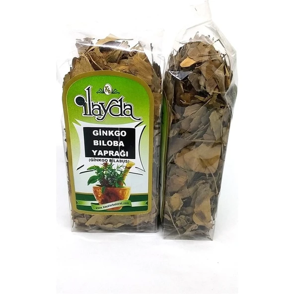 Ilayda Ginkgo Biloba Mabet Ağacı Yaprağı (Ginkgo Bilobus) ürün görseli 1