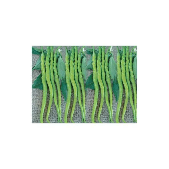 Biber Kıl Sivri Acı Tohumu(10 Gr) ürün görseli 1