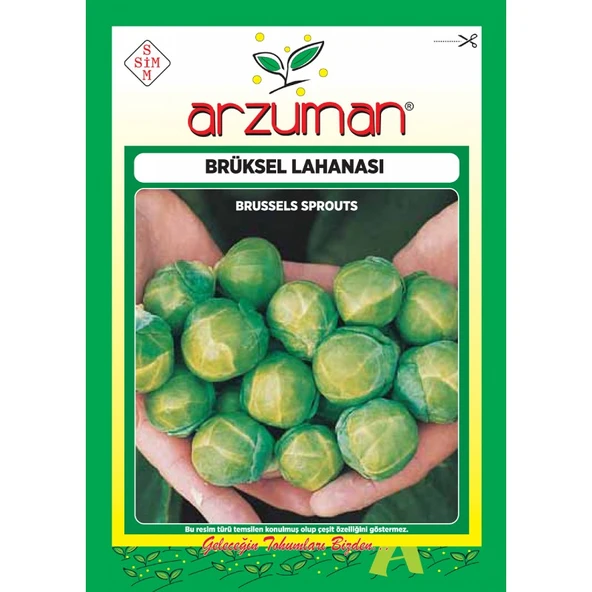Arzuman Brüksel Lahana Tohumu 200 Adet ürün görseli 1