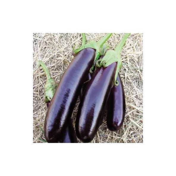 Arzuman Aydın Siyahı Patlıcan 10 Gram ürün görseli 1