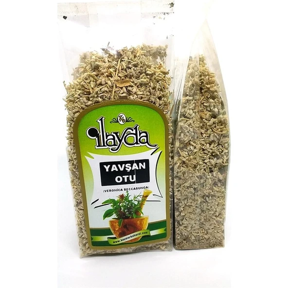 Ilayda Yavşan Otu (Teucrium Polium) ürün görseli 1