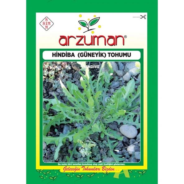 Arzuman Hindiba ( Güneyik) Tohumu( 5 gr Tohum) ürün görseli 1