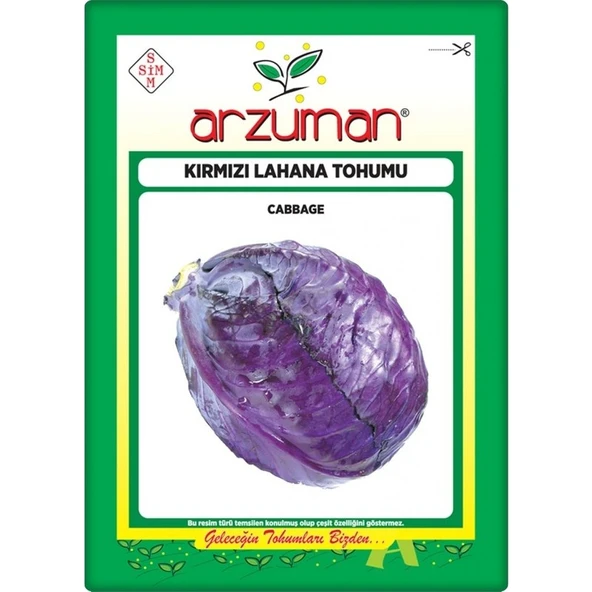 Arzuman Kırmızı Lahana Tohumu (Kara Lahana) 10 gr ürün görseli 1