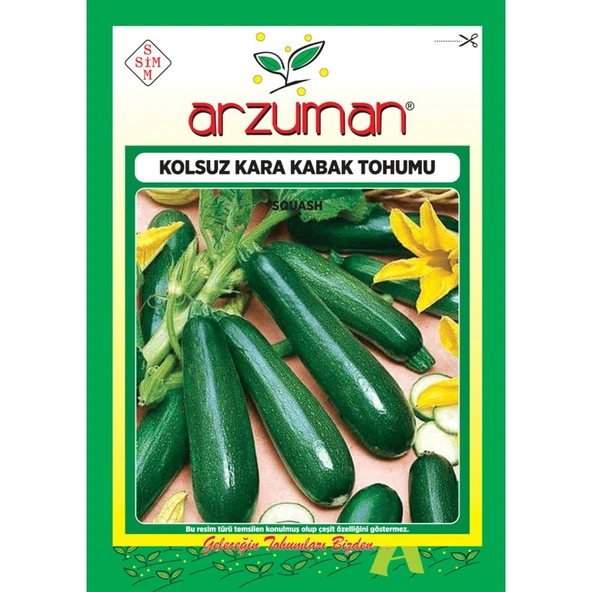 Arzuman Sebze Kolsuz Kara Kabak Tohum 10 gr ürün görseli 1