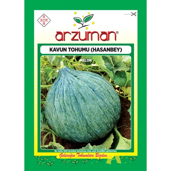 Arzuman Hasanbey Kavun Tohumu 10 G ürün görseli 1