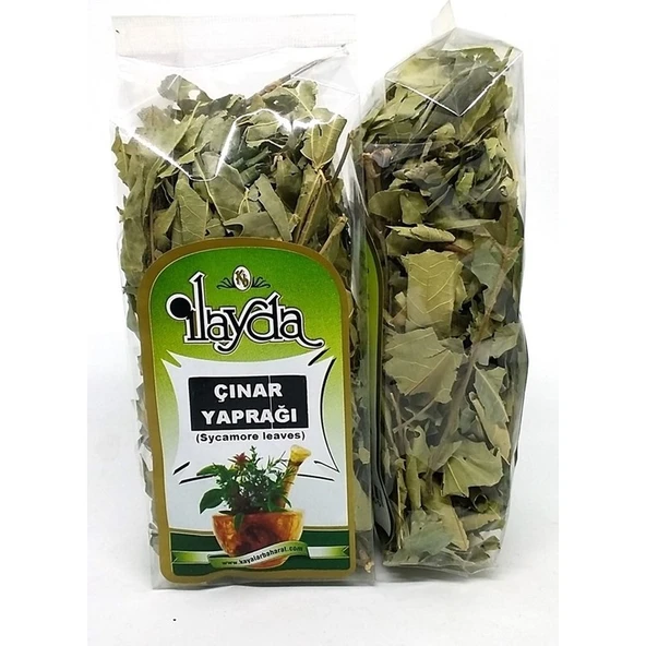Ilayda Çınar Yaprağı (Sycamore Leaves) ürün görseli 1