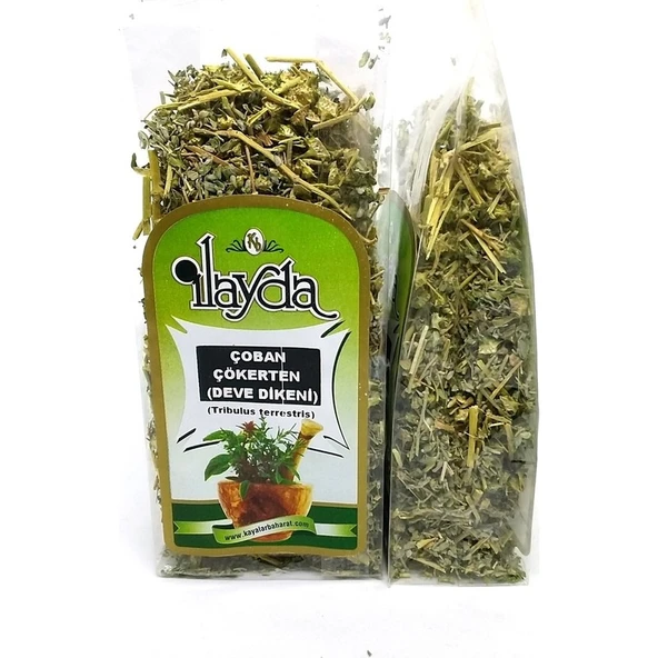 Ilayda Çoban Çökerten (Tribulus Terrestris) ürün görseli 1