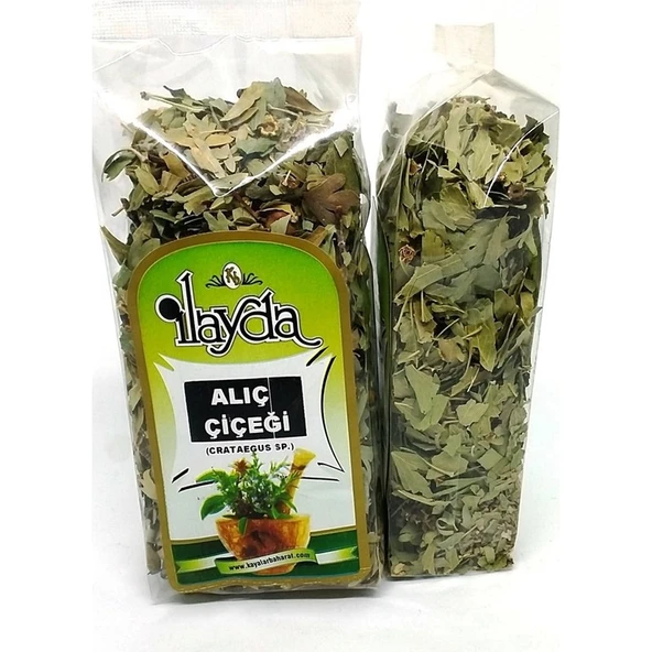 Ilayda Alıç Çiçeği (Crataegus Sp.) ürün görseli 1