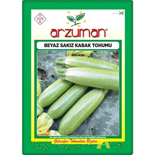 Arzuman Kabak Tohumu Beyaz Sakız Kabak (10 gr) ürün görseli 1