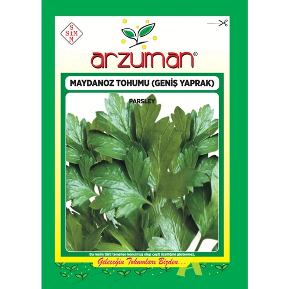 Arzuman Sebze Geniş Yaprak Maydonoz Tohum 25 gr ürün görseli 1