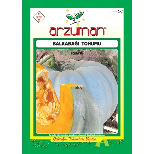 Arzuman Arıcan 97 Balkabağı Tohum 10 gr ürün görseli 1