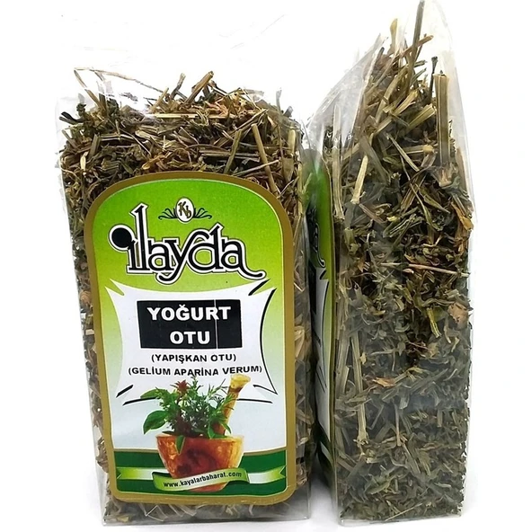 Ilayda Yoğurt Otu Yapışkan Ot (Galium Aparine Verum) ürün görseli 1