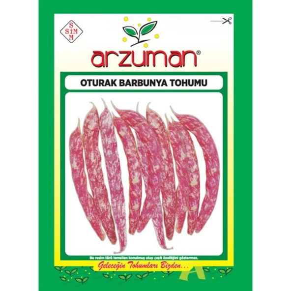 Arzuman Oturak Barbunya Tohumu 50 G ürün görseli 1