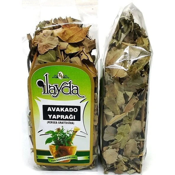 Ilayda Avokado Yaprağı (Persea Gratissima) ürün görseli 1