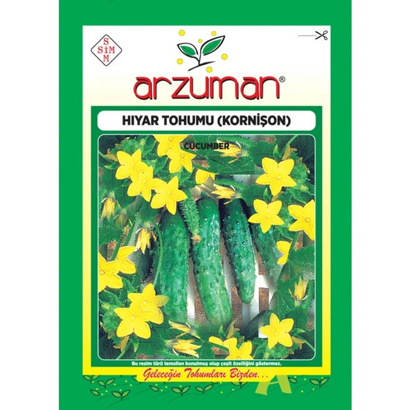 Arzuman Salatalık Kornişon Hıyar Tohum 10 gr ürün görseli 1
