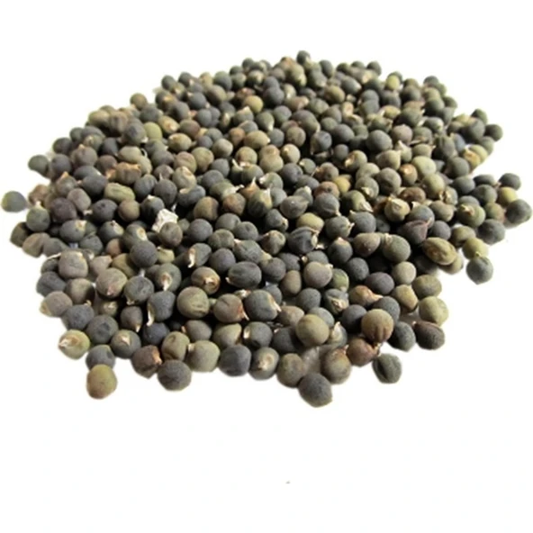 Ayvalık Baharat Bamya Tohumu 100 gr ürün görseli 1