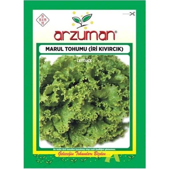 Arzuman Sebze İri Kıvırcık Marul Tohum 10 gr ürün görseli 1