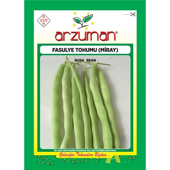 Arzuman Miray Fasulye Tohumu 50 G ürün görseli 1