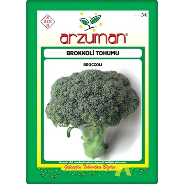 Arzuman Brokoli Tohumu 10 gr  300 Adet ürün görseli 1