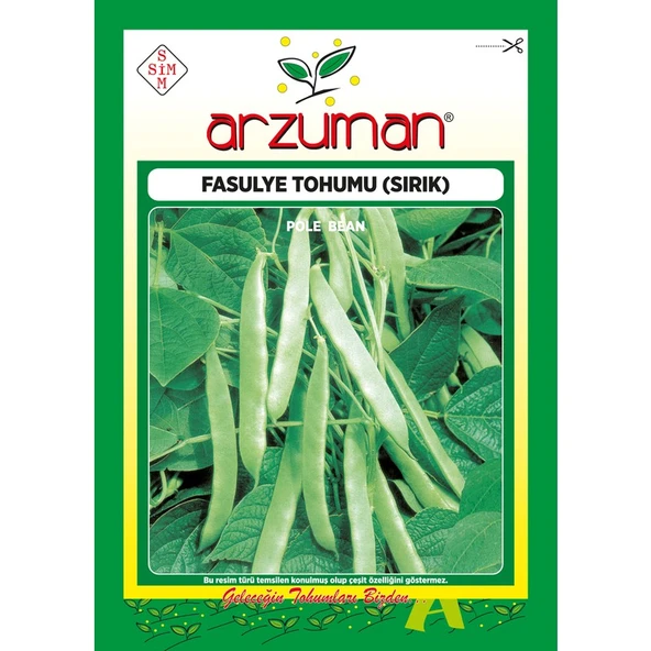 Arzuman Sırık Fasülye Tohumu 50 Gram ürün görseli 1
