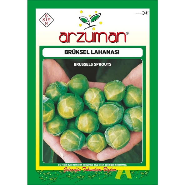 Arzuman Brüksel Lahana Tohumu 200 Adet ürün görseli 1