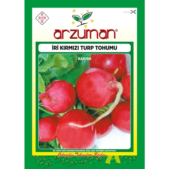 Arzuman Iri Kırmızı Turp Tohumu 25 Gram ürün görseli 1