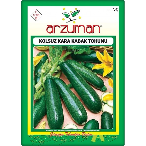 Arzuman Kabak Tohumu Siyah Kabak 10 gr Kolsuz ürün görseli 1