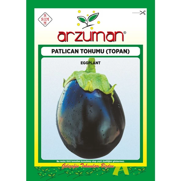 Arzuman Topan Patlıcan Tohumu 10 Gram ürün görseli 1