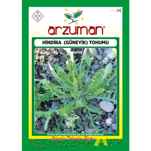 Arzuman Hindiba (Güneyik) Marul Tohumu 5 Gram ürün görseli 1
