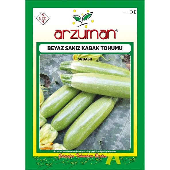 Arzuman Beyaz Sakız Kabak Tohumu 10 Gram ürün görseli 1