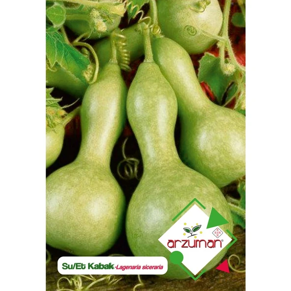 Arzuman Su - Et Kabağı (Lagenaria  Siceraria) Çiçek Tohumu 5 Adet ürün görseli 1