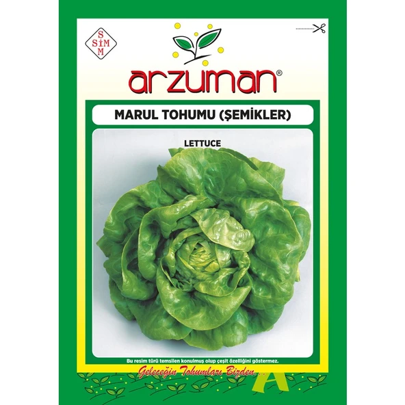 Arzuman Şemikler Tereyağlı Kıvırcık Marul Tohumu 10 Gram ürün görseli 1