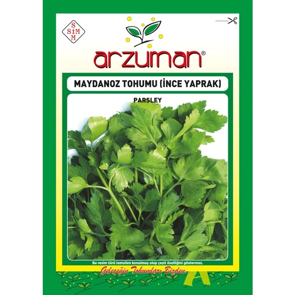 Arzuman Ince Maydanoz Tohumu 25 Gram ürün görseli 1