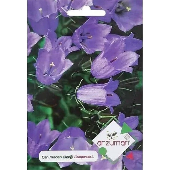 Arzuman Çan/kadeh Çiçeği Tohumu (100 Adet) ürün görseli 1
