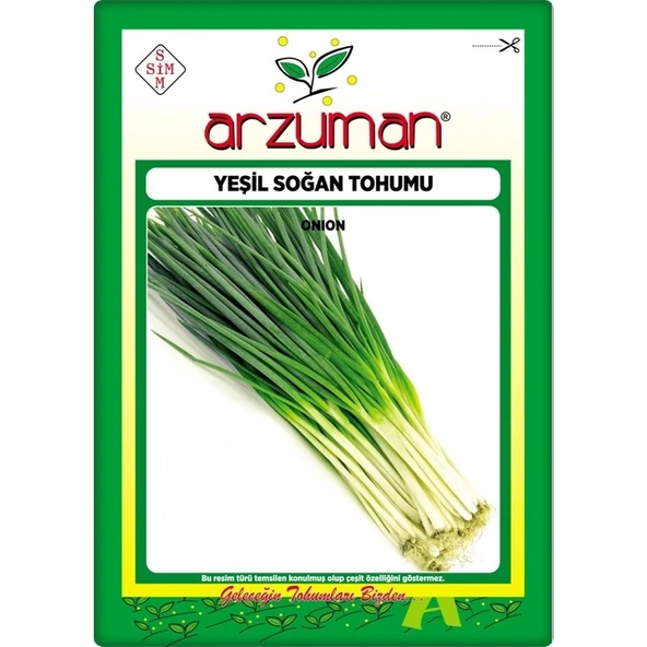 Arzuman Yeşil Soğan Tohumu (10 Gr) ürün görseli 1