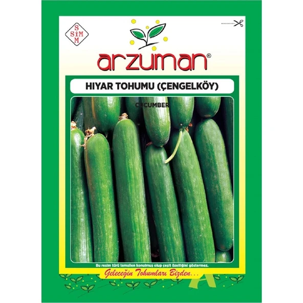 Arzuman Salatalık Tohumu (10 Gr) Çengelköy ürün görseli 1