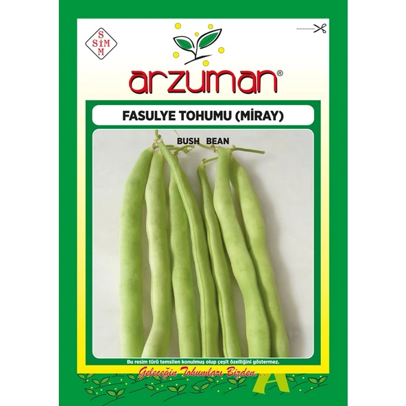Arzuman Miray (Magnum Tipi) Oturak Fasülye Tohumu 50 Gram ürün görseli 1