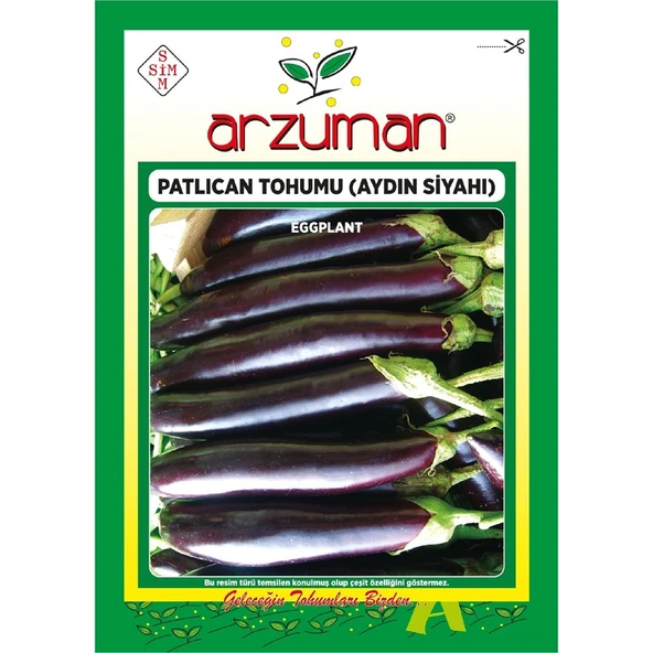 Arzuman Aydın Siyahı Patlıcan Tohumu 10 Gram ürün görseli 1