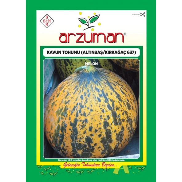Arzuman Kırkağaç 637/ALTINBAŞ Kavun Tohumu (10 gr ) ürün görseli 1