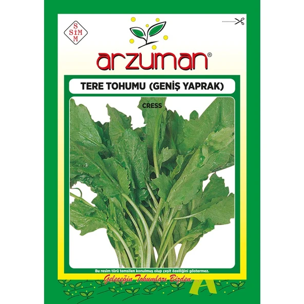 Arzuman Helen Tere Tohumu 25 Gram ürün görseli 1