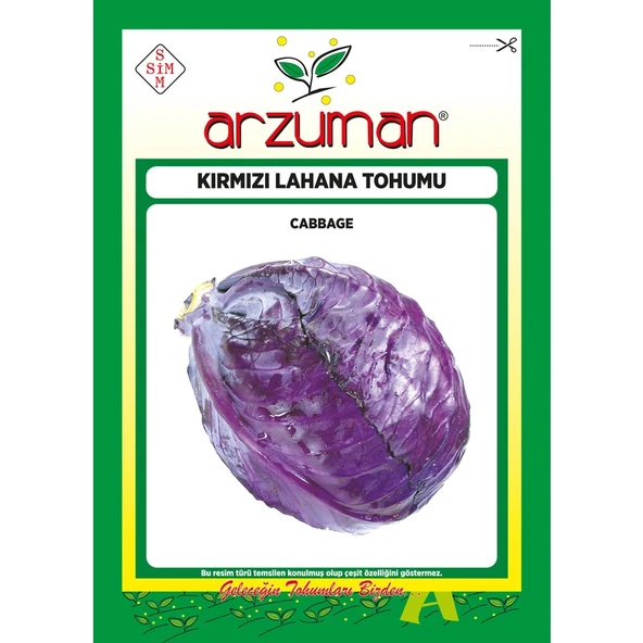Arzuman Kırmızı (Mor) Lahana Tohumu 10 Gram ürün görseli 1