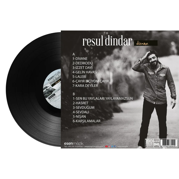 Resul Dindar Divane - Plak - Resim 3