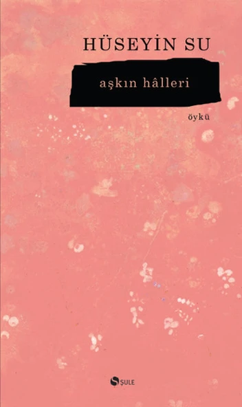 Aşkın Halleri ürün görseli 1