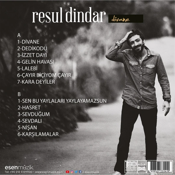 Resul Dindar Divane - Plak - Resim 2