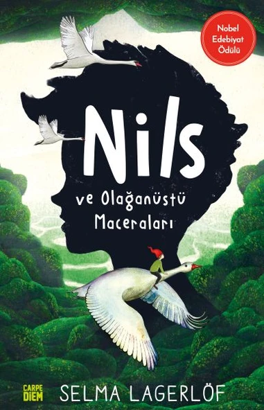 Nils ve Olağanüstü Maceraları ürün görseli 1