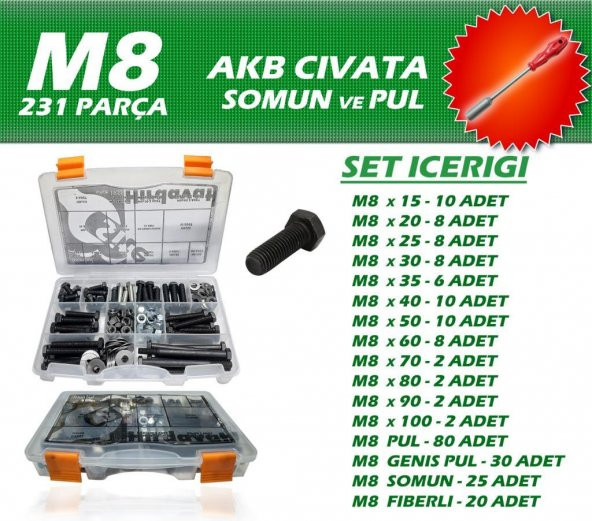 231 Parça M8 AKB Cıvata Seti + 13 Lokma Tornavida ürün görseli 1